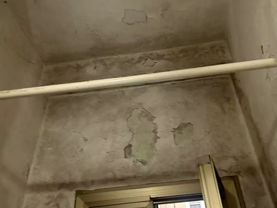 Immagine 18 di Appartamento in vendita  a Pioltello