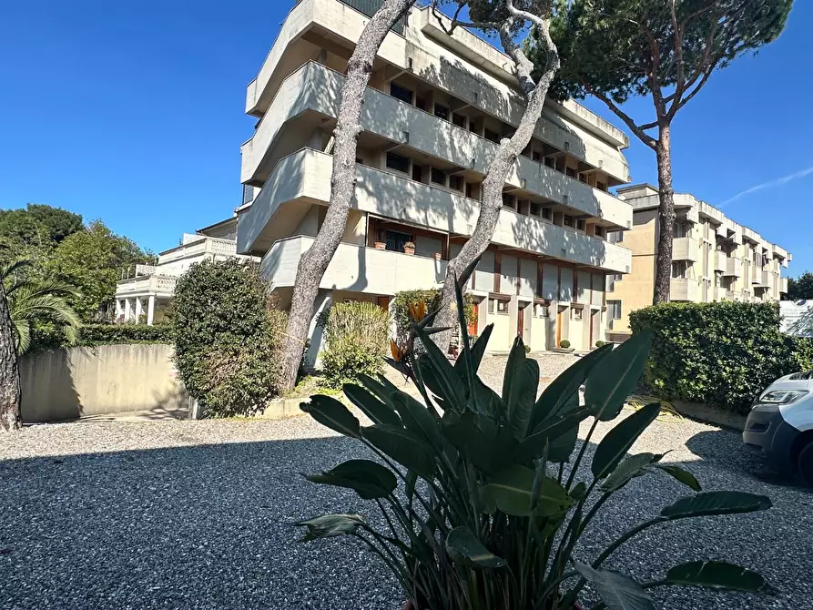 Immagine 22 di Appartamento in vendita  a Rosignano Marittimo