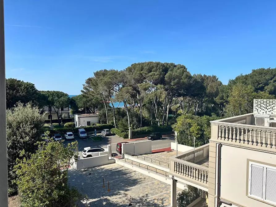 Immagine 16 di Appartamento in vendita  a Rosignano Marittimo