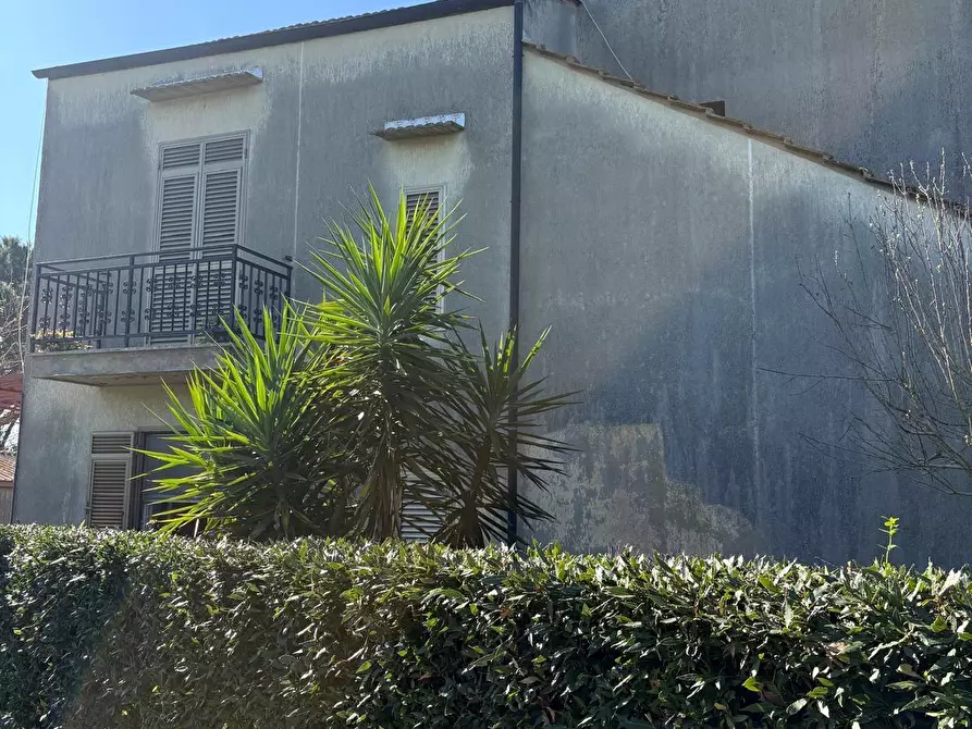 Immagine 3 di Casa colonica in vendita  a Campiglia Marittima