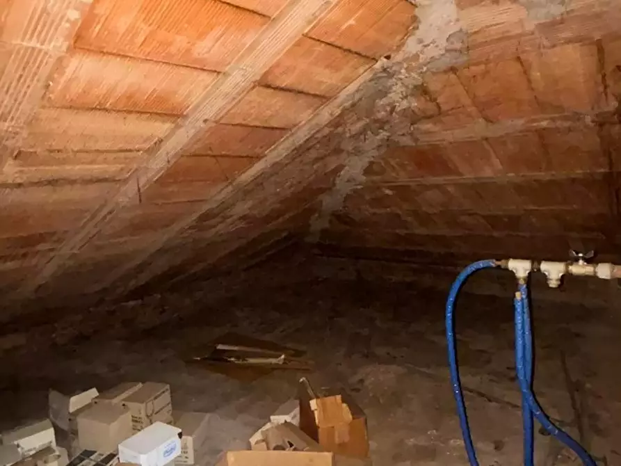 Immagine 3 di Appartamento in vendita  a Capannori