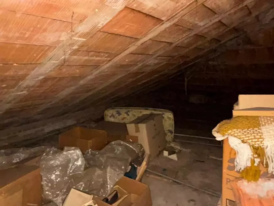 Immagine 4 di Appartamento in vendita  a Capannori