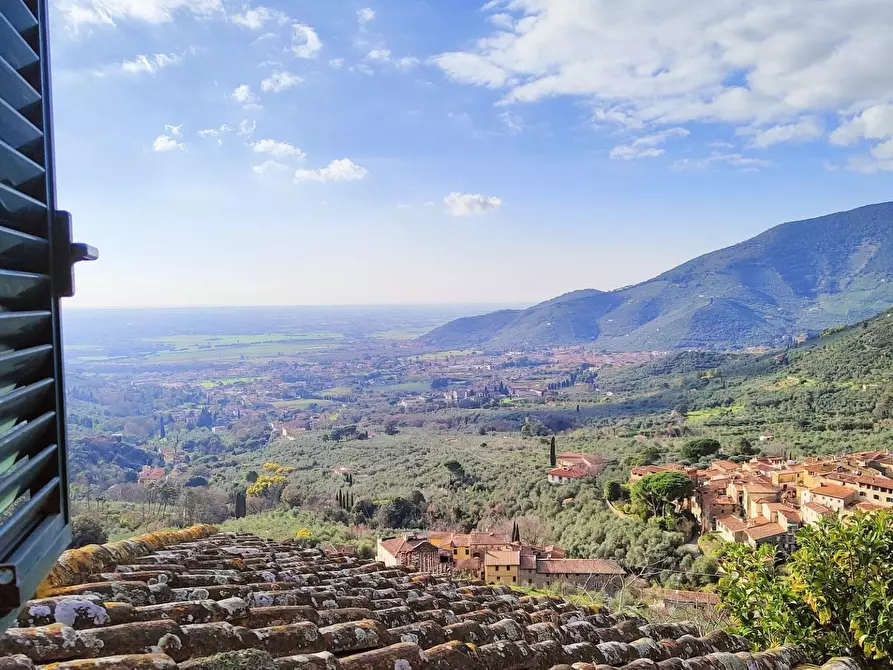 Immagine 41 di Casa colonica in vendita  a Calci