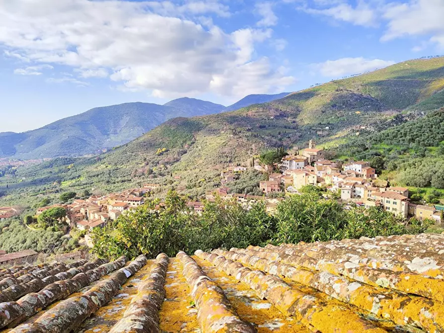 Immagine 43 di Casa colonica in vendita  a Calci