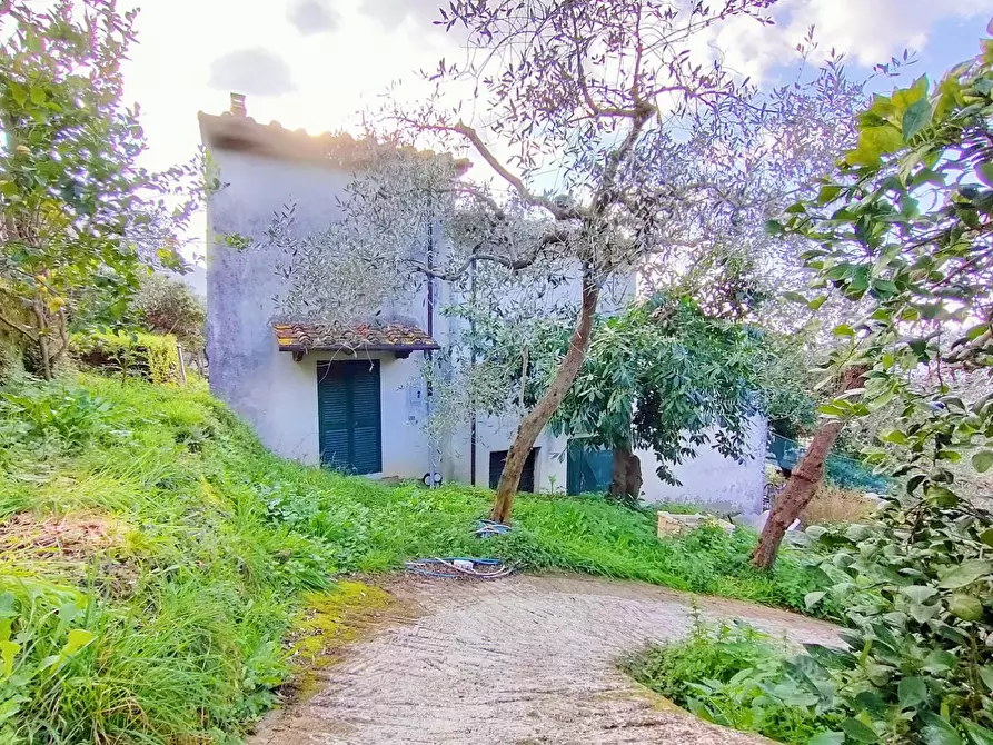 Immagine 44 di Casa colonica in vendita  a Calci