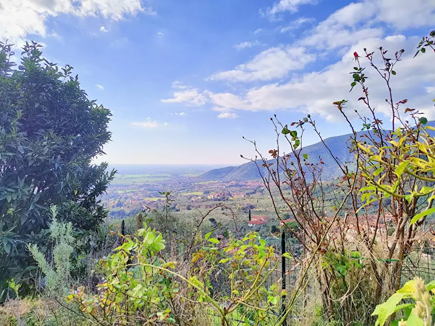 Immagine 42 di Casa colonica in vendita  a Calci