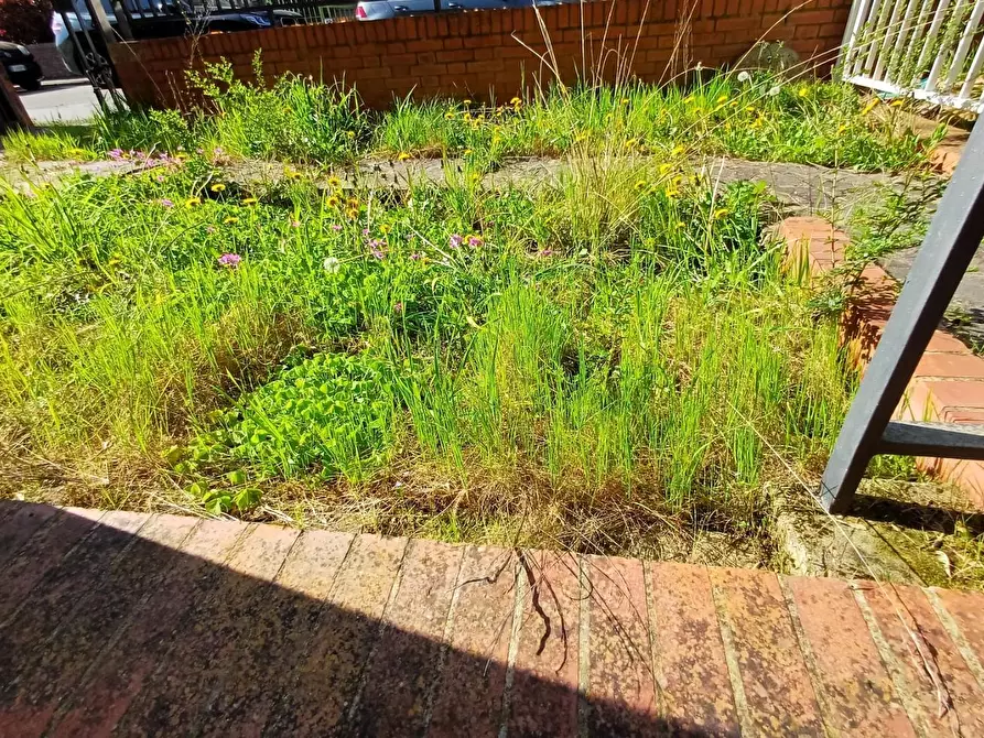 Immagine 15 di Villetta a schiera in vendita  a Empoli