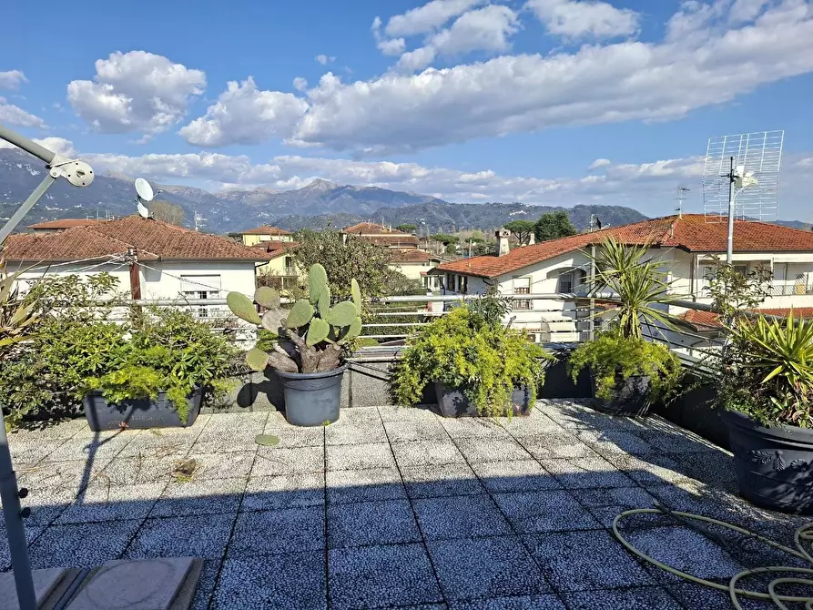 Immagine 15 di Appartamento in vendita  a Camaiore