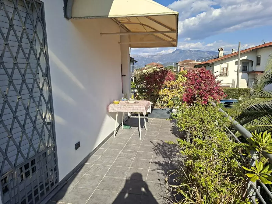 Immagine 3 di Appartamento in vendita  a Camaiore