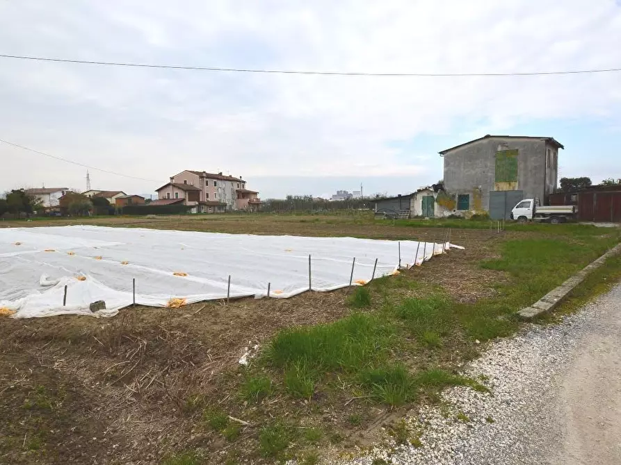 Immagine 4 di Rustico / casale in vendita  a Lucca