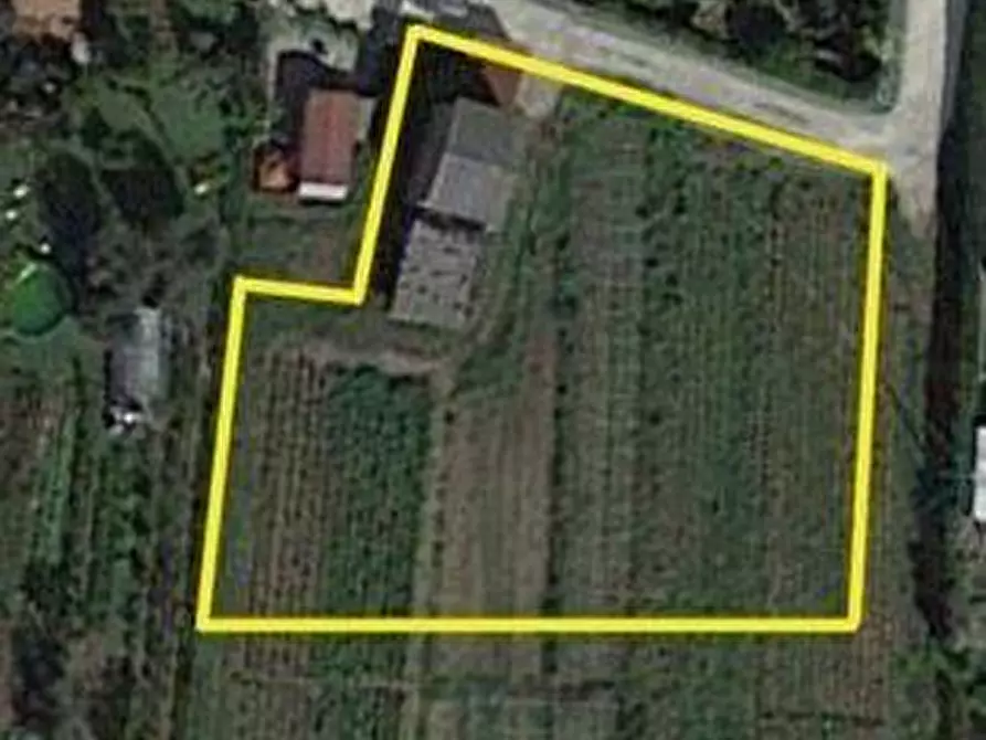 Immagine 6 di Rustico / casale in vendita  a Lucca