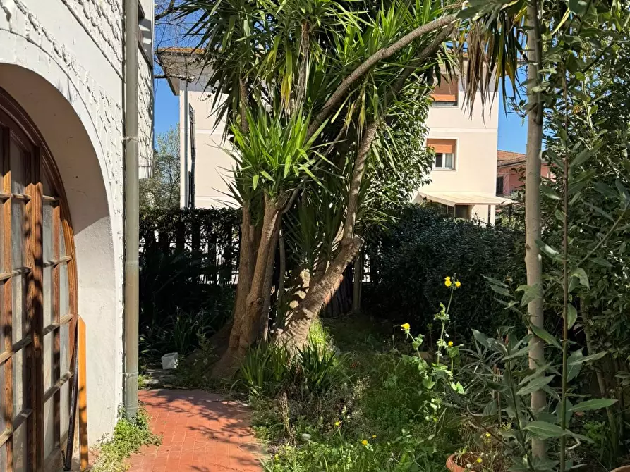 Immagine 13 di Casa indipendente in vendita  a Calcinaia