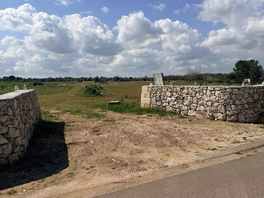 Immagine 3 di Terreno agricolo in vendita  a Lecce