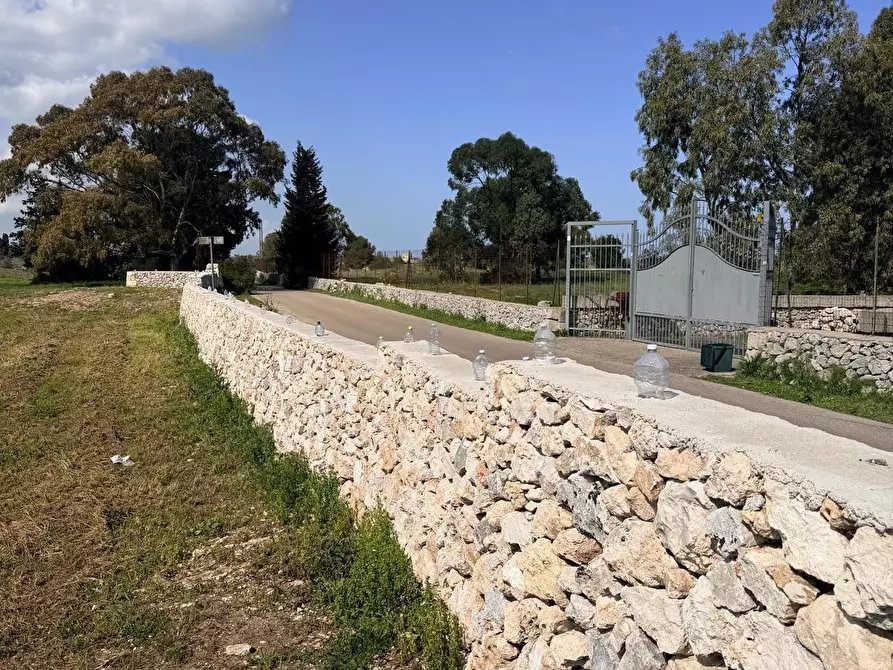 Immagine 11 di Terreno agricolo in vendita  a Lecce