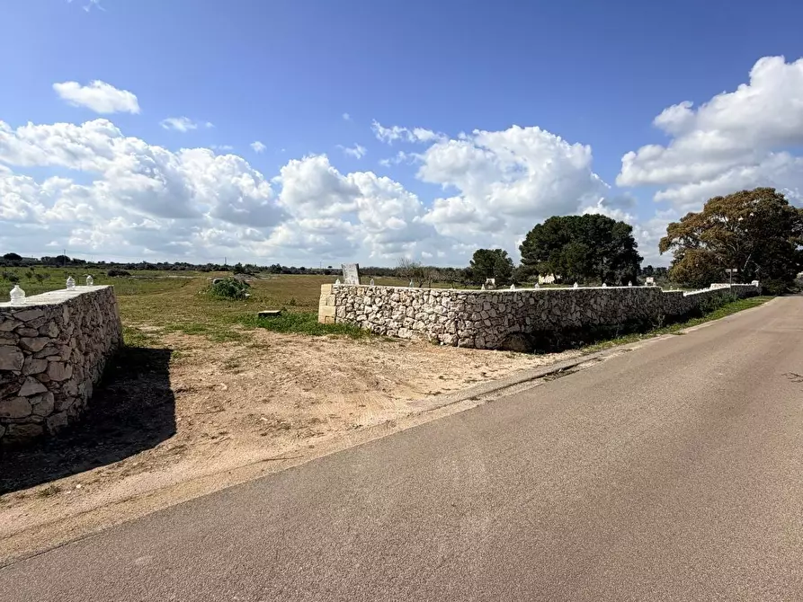 Immagine 4 di Terreno agricolo in vendita  a Lecce