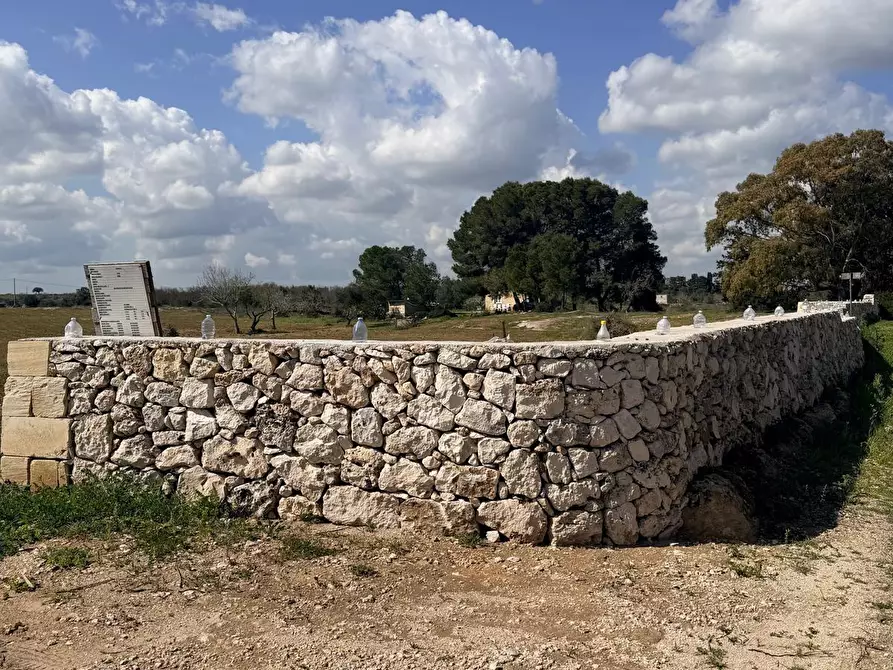 Immagine 8 di Terreno agricolo in vendita  a Lecce