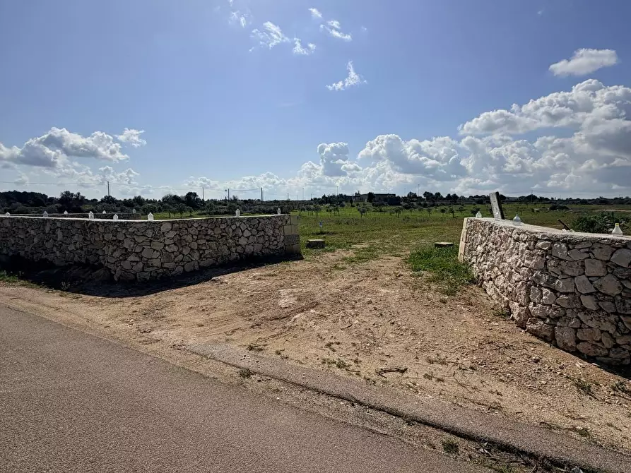 Immagine 5 di Terreno agricolo in vendita  a Lecce