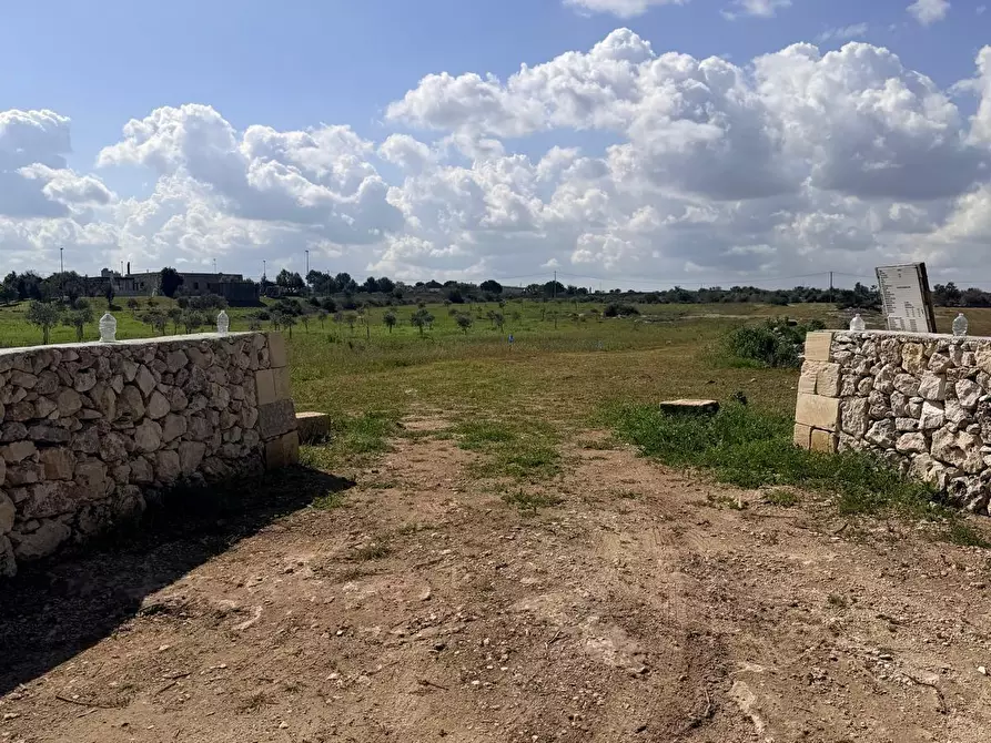 Immagine 2 di Terreno agricolo in vendita  a Lecce