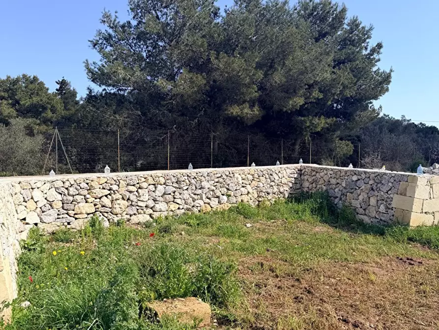 Immagine 9 di Terreno agricolo in vendita  a Lecce