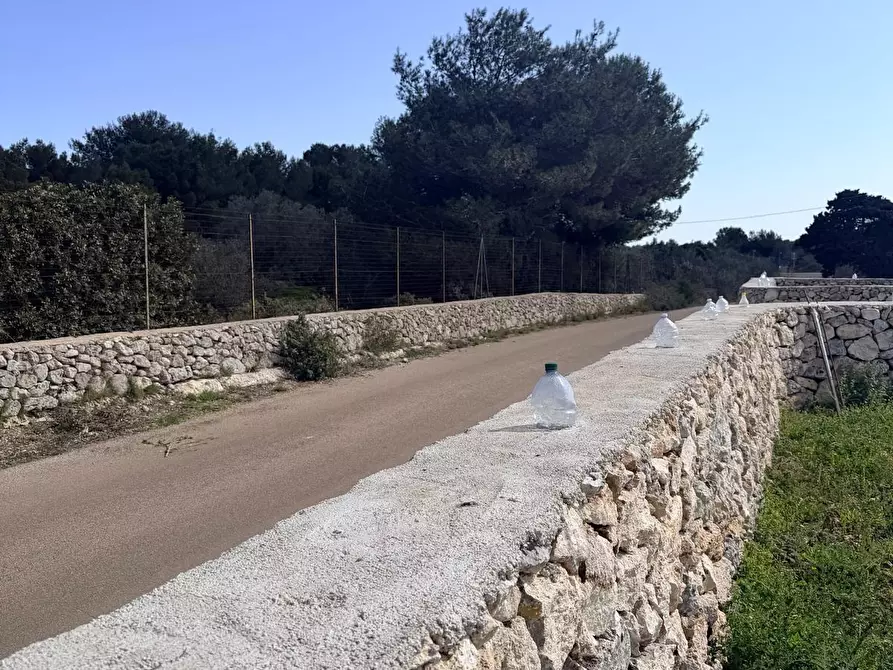 Immagine 7 di Terreno agricolo in vendita  a Lecce