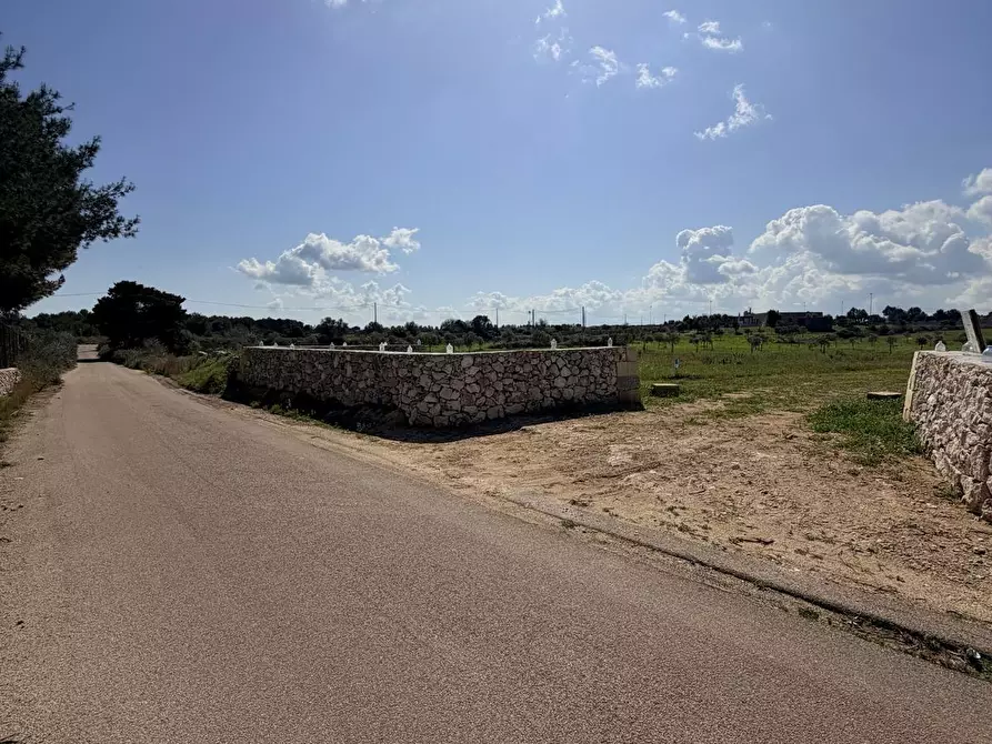 Immagine 6 di Terreno agricolo in vendita  a Lecce