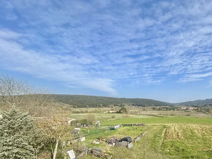 Immagine 18 di Appartamento in vendita  a Sovicille