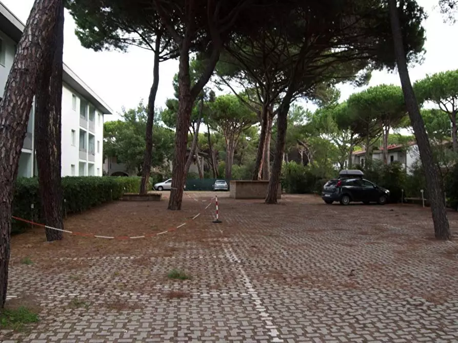 Immagine 2 di Appartamento in vendita  a Grosseto