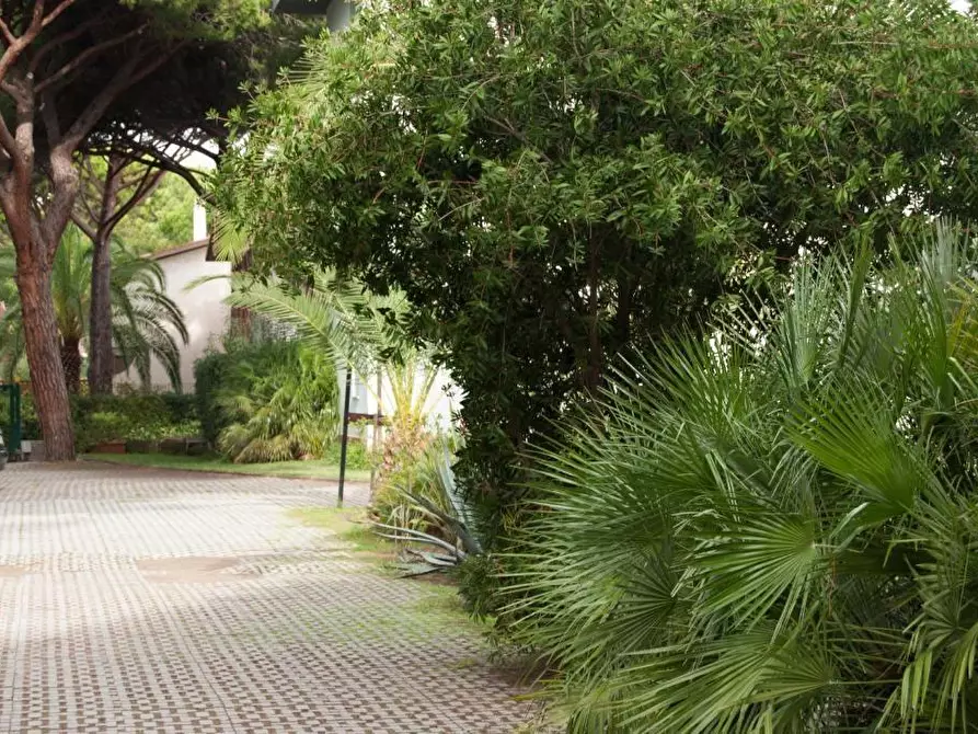 Immagine 4 di Appartamento in vendita  a Grosseto