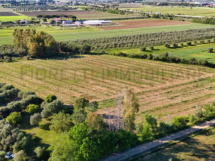 Immagine 16 di Terreno agricolo in vendita  a Piombino