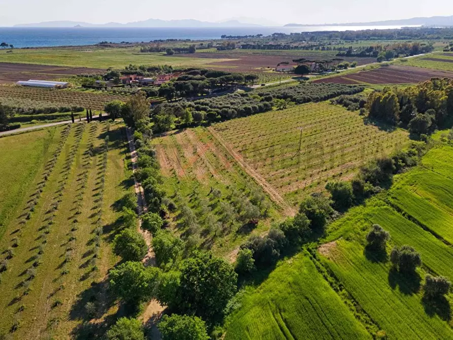 Immagine 1 di Terreno agricolo in vendita  a Piombino