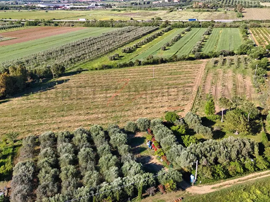 Immagine 15 di Terreno agricolo in vendita  a Piombino