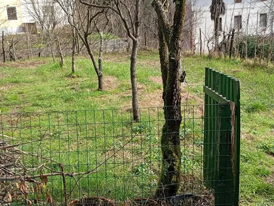 Immagine 7 di Terratetto in vendita  a Camaiore