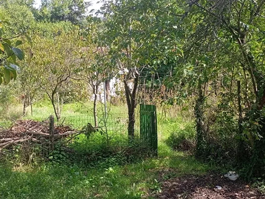 Immagine 6 di Terratetto in vendita  a Camaiore