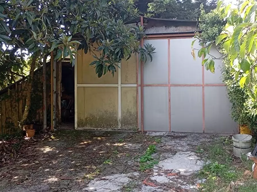 Immagine 4 di Terratetto in vendita  a Camaiore