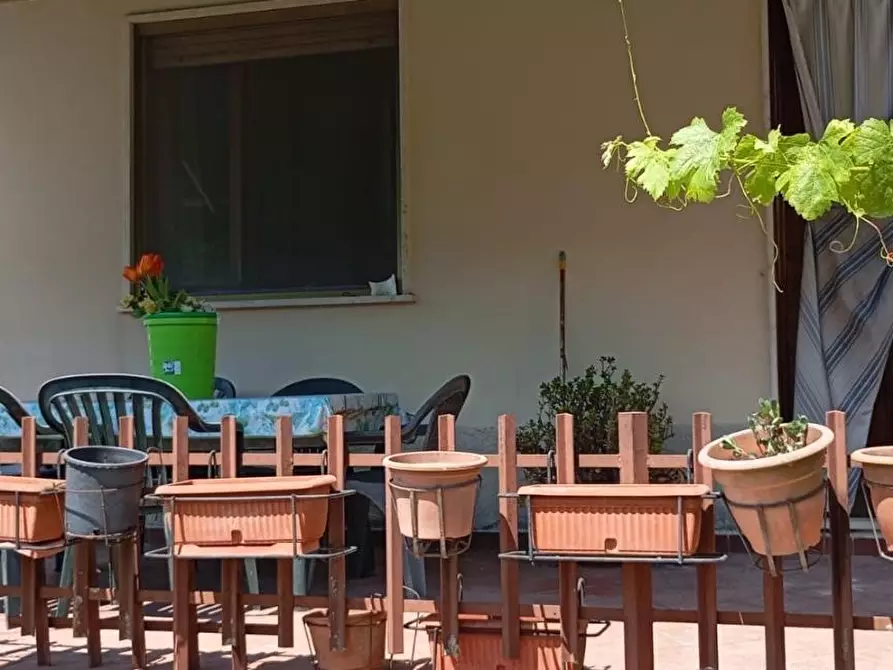 Immagine 3 di Terratetto in vendita  a Camaiore