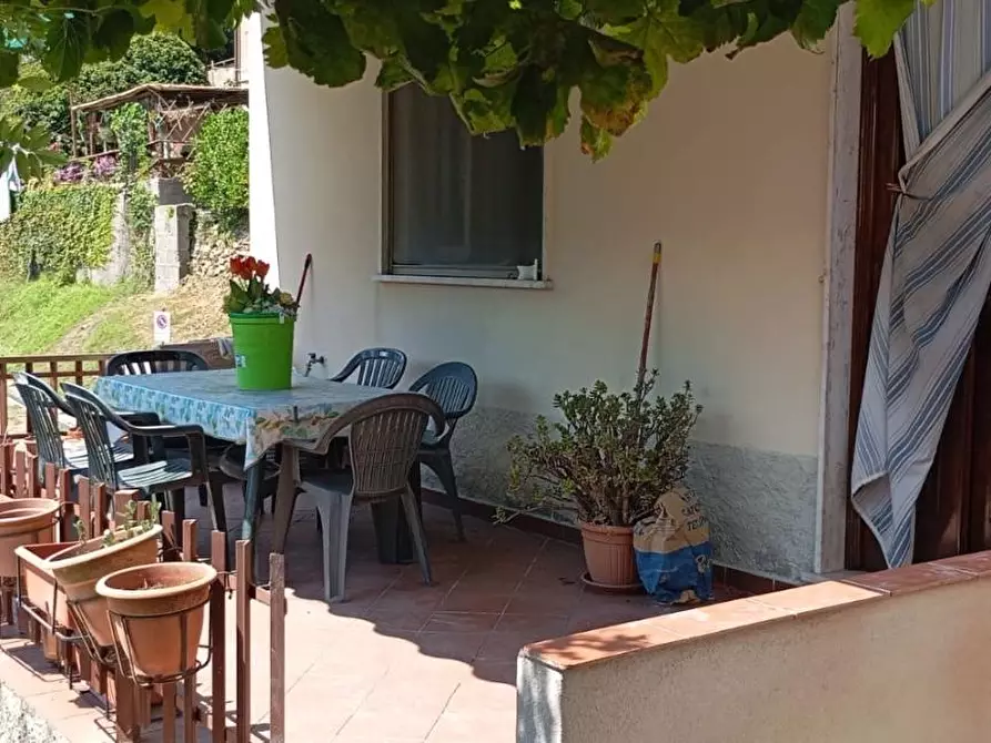 Immagine 2 di Terratetto in vendita  a Camaiore