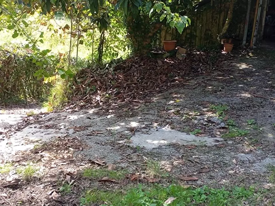 Immagine 5 di Terratetto in vendita  a Camaiore
