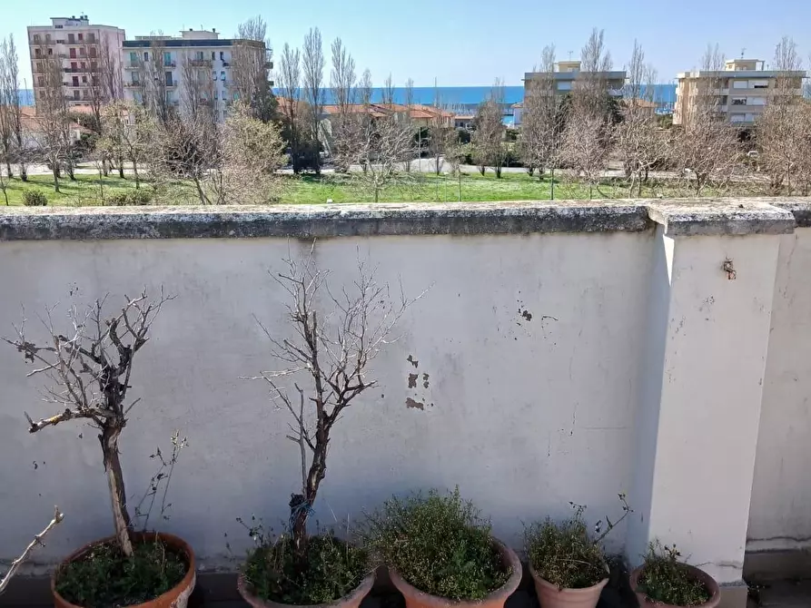 Immagine 14 di Appartamento in vendita  a Rosignano Marittimo