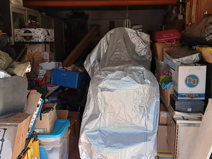 Immagine 15 di Appartamento in vendita  a Rosignano Marittimo