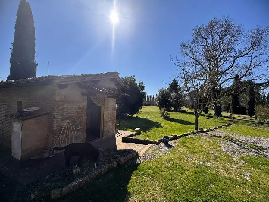 Immagine 5 di Villa in vendita  a Asciano