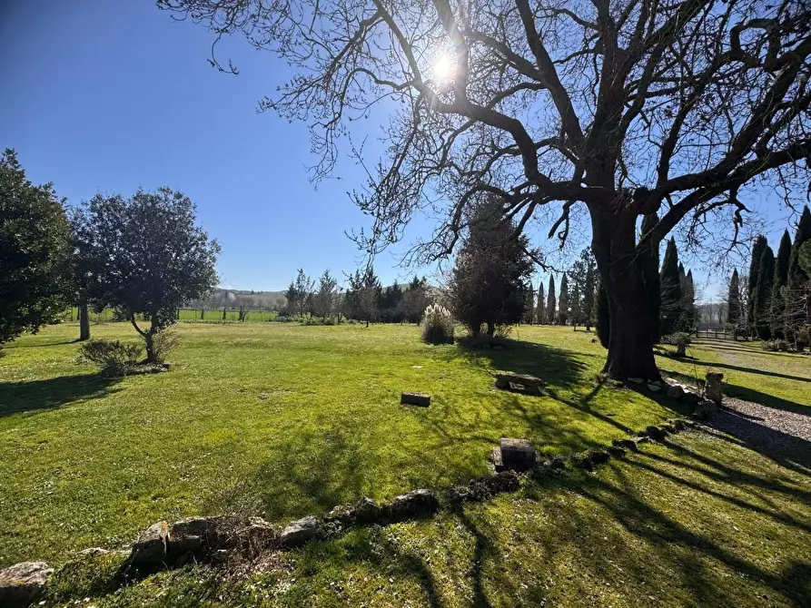 Immagine 21 di Villa in vendita  a Asciano