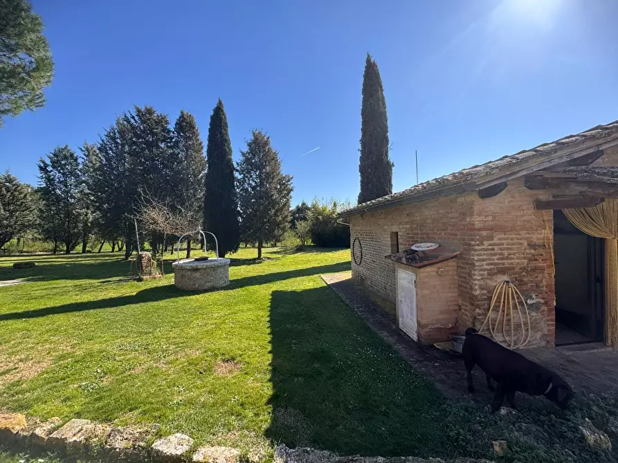 Immagine 24 di Villa in vendita  a Asciano