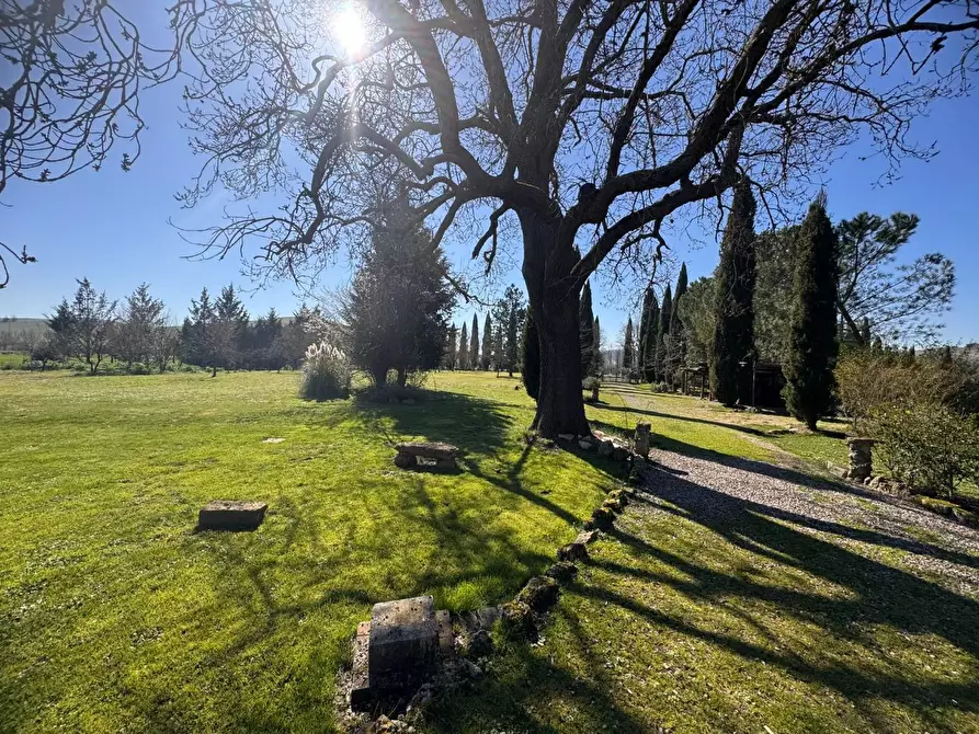 Immagine 4 di Villa in vendita  a Asciano