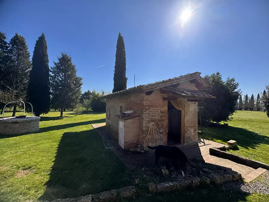 Immagine 23 di Villa in vendita  a Asciano