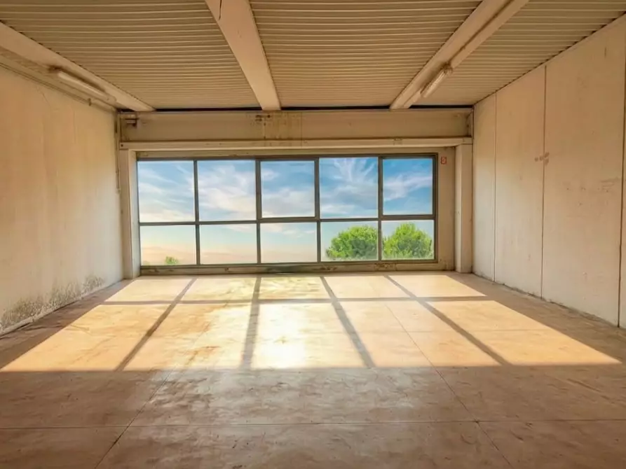 Immagine 2 di Attività artigianale in vendita  a Casciana Terme Lari