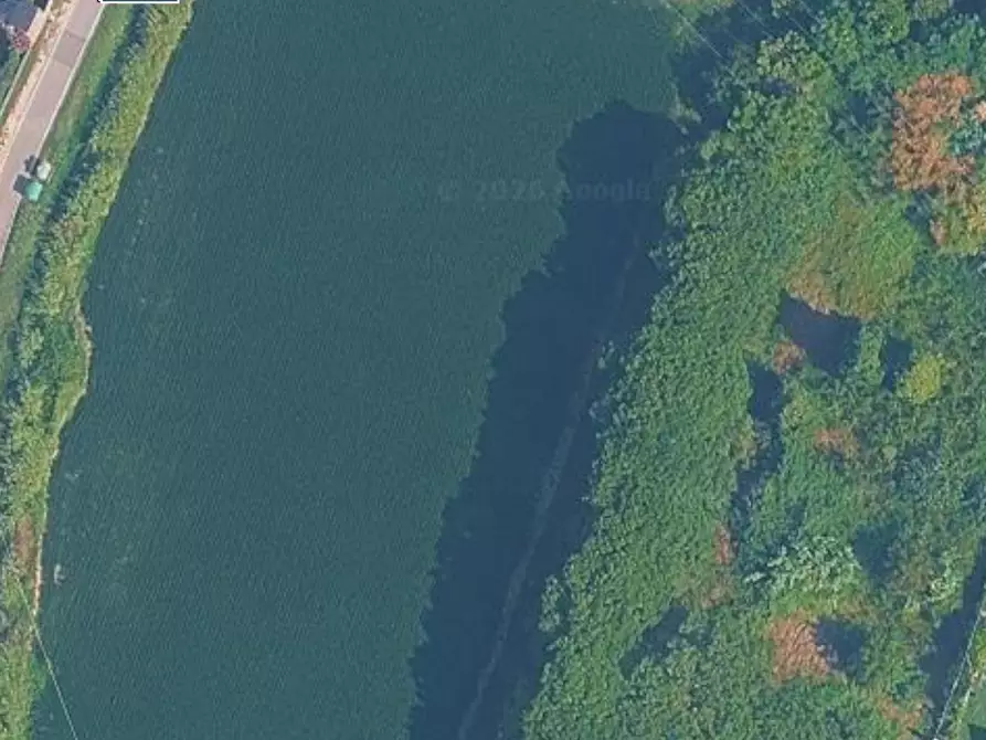 Immagine 1 di Terreno agricolo in vendita  a Venezia