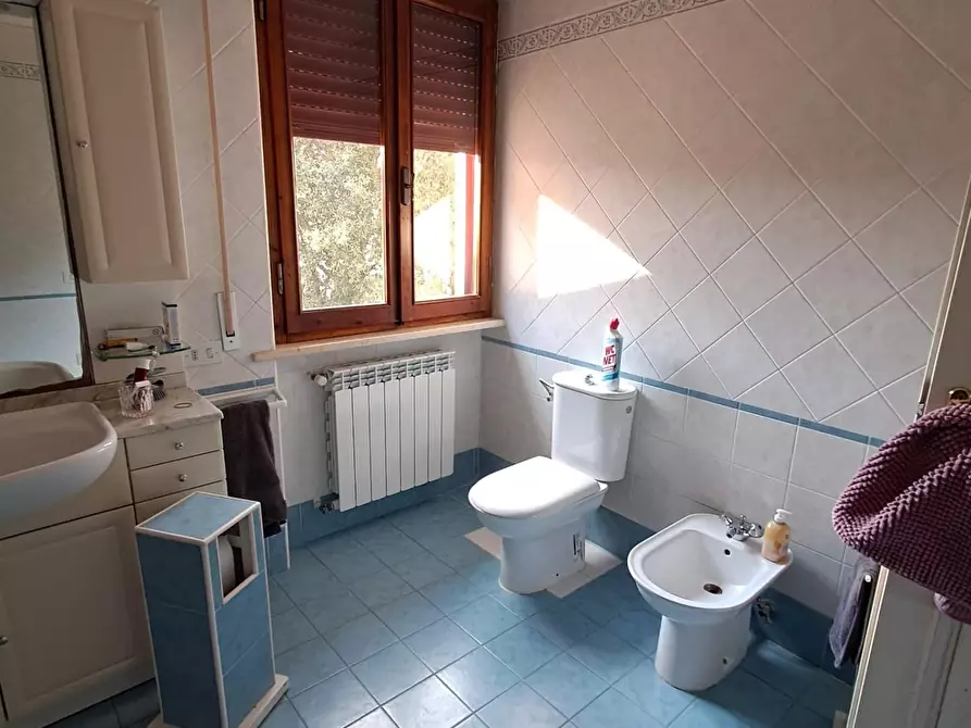 Immagine 7 di Appartamento in vendita  a Bientina