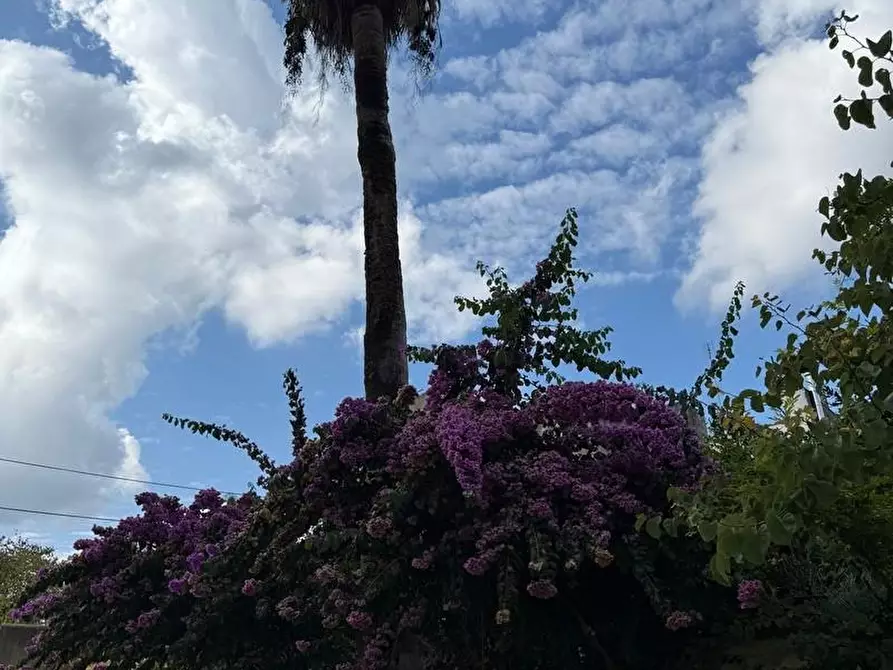 Immagine 11 di Villa in vendita  a Alessano