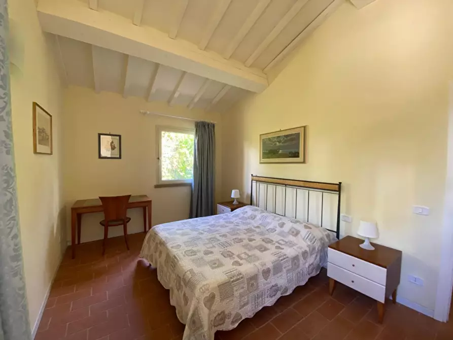 Immagine 48 di Casa colonica in vendita  a Montopoli In Val D'arno