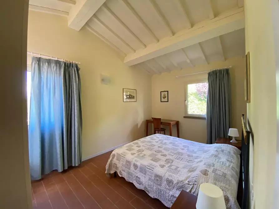 Immagine 51 di Casa colonica in vendita  a Montopoli In Val D'arno